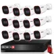 Provision AHD-36 12-camera security system 2MP
